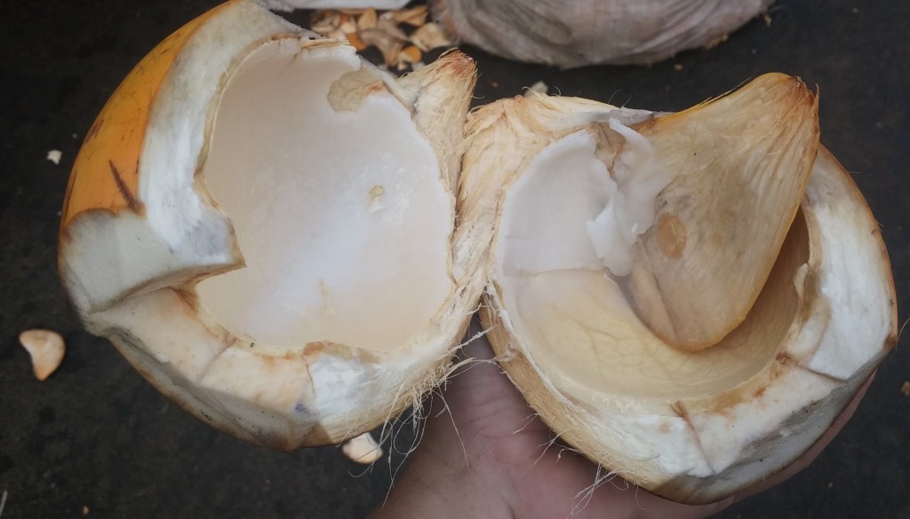 Karališkojo kokoso baltymas
